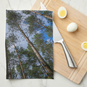 Linge De Cuisine Paysage naturel Regardez les arbres forestiers