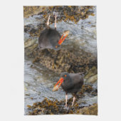 Linge De Cuisine Pêche à la plage d'Oystercatcher noir (Vertical)