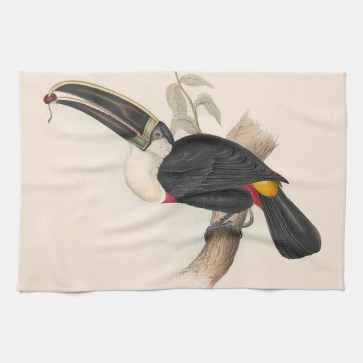 Linge De Cuisine Peinture animalière d'antiquités Toucans (Horizontal)