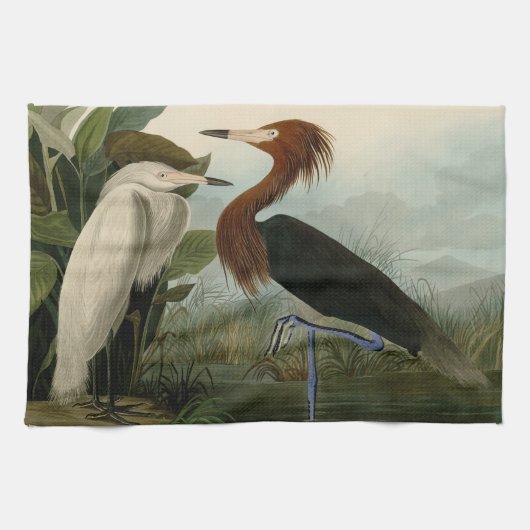 Linge De Cuisine Peinture de la faune d'Audubon Heron violet (Horizontal)