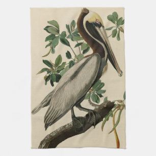 Linge De Cuisine Pélican Brown d'Audubon's Birds of America