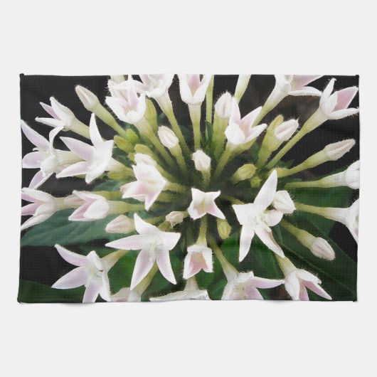 Linge De Cuisine Pentas blanc (Horizontal)