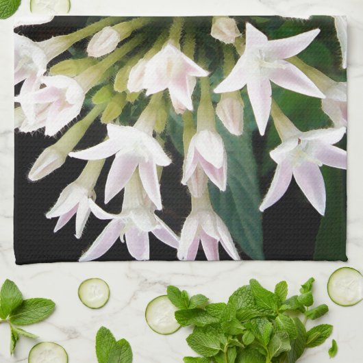 Linge De Cuisine Pentas blancs (Plié)