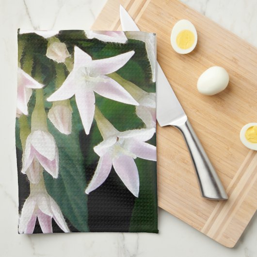 Linge De Cuisine Pentas blancs (Quart Plié)