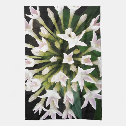 Linge De Cuisine Pentas blancs (Vertical)