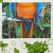 Linge De Cuisine Perroquet bleu et jaune (Plié)