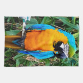 Linge De Cuisine Perroquet bleu et jaune (Horizontal)
