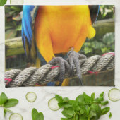 Linge De Cuisine Perroquet macaw exotique (Plié)