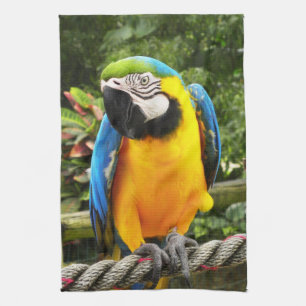 Linge De Cuisine Perroquet macaw exotique