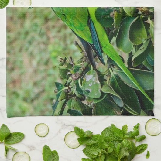 Linge De Cuisine Perroquet vert (Plié)