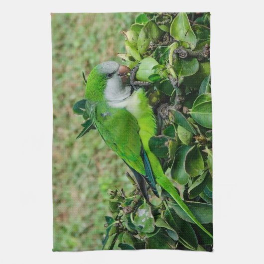 Linge De Cuisine Perroquet vert (Vertical)