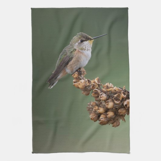 Linge De Cuisine Petit colibri orange (Vertical)