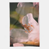 Linge De Cuisine Petit Grasshopper Sur Fleur Azalée Blanche (Vertical)