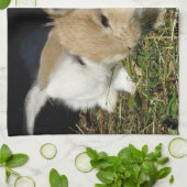 Linge De Cuisine Petit lapin moelleux (Plié)