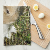 Linge De Cuisine Petit lapin moelleux (Quart Plié)