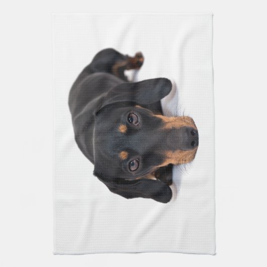 Linge De Cuisine Petit teckel (Vertical)