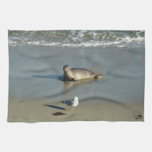 Linge De Cuisine Phoque commun à La Jolla Californie