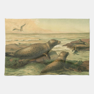 Linge De Cuisine Phoques léopards, Animaux aquatiques vintage Vie m