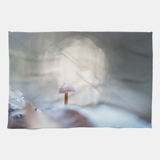 Linge De Cuisine Photo de champignons congelés (Horizontal)