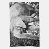 Linge De Cuisine Photo de contraste noir et blanc d'Elephant (Vertical)