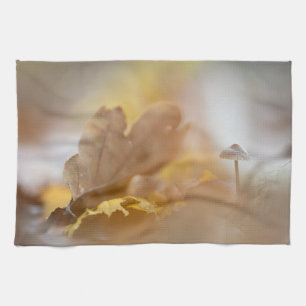 Linge De Cuisine Photo de la nature des champignons