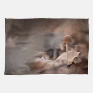 Linge De Cuisine Photo de la nature des champignons