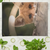 Linge De Cuisine Photo d'une mignonne petite Fox (Plié)