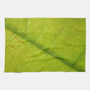 Linge De Cuisine Photographie botanique de la nature à feuille vert