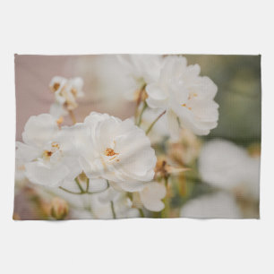 Linge De Cuisine Photographie botanique de roses Korbin blanches da