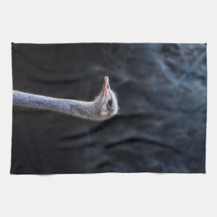 Linge De Cuisine Photographie d'autruche