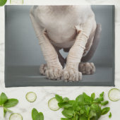 Linge De Cuisine Photographie de chat de sphinx d'Elf (Plié)