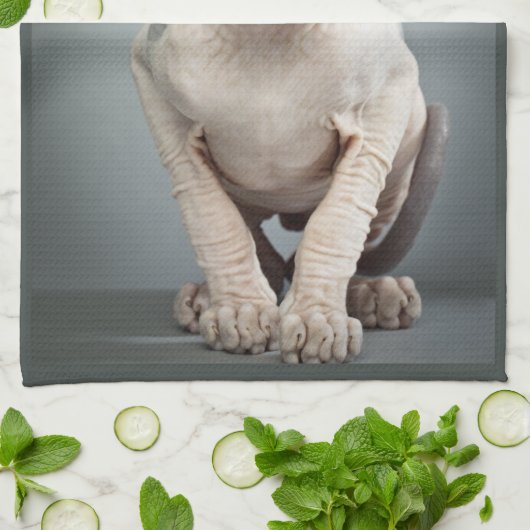 Linge De Cuisine Photographie de chat de sphinx d'Elf (Plié)