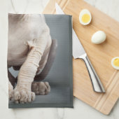 Linge De Cuisine Photographie de chat de sphinx d'Elf (Quart Plié)