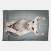 Linge De Cuisine Photographie de chat de sphinx d'Elf (Horizontal)