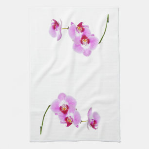 Linge De Cuisine Photographie de fermeture d'orchidées radiantes