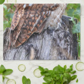 Linge De Cuisine photographie de hibou (Plié)