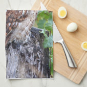 Linge De Cuisine photographie de hibou (Quart Plié)