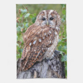 Linge De Cuisine photographie de hibou (Vertical)