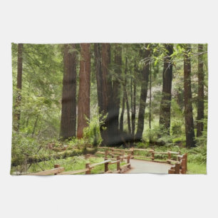 Linge De Cuisine Photographie de nature sur le sentier I de Muir Wo