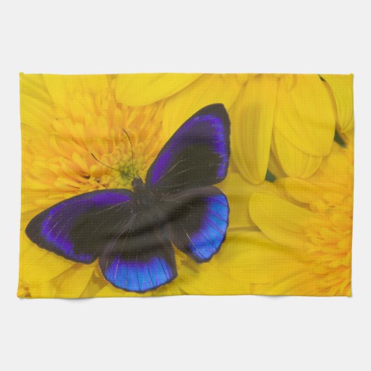 Linge De Cuisine Photographie de papillon (Horizontal)