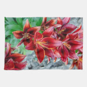 Linge De Cuisine Photographie florale, Red Stargazer Lily (Horizontal)