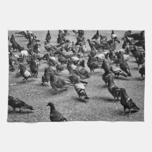 Linge De Cuisine Photographie noir et blanc de nombreux pigeons
