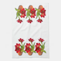 Photographie rouge mûre mise en pot de tulipes