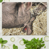 LINGE DE CUISINE PIÈCES FRAÎCHES (Plié)