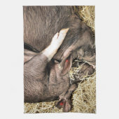 LINGE DE CUISINE PIÈCES FRAÎCHES (Vertical)