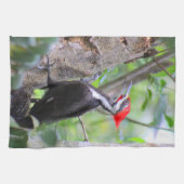 Linge De Cuisine Pileated Woodpecker Kitchen Towel Dish Towel (Horizontal)