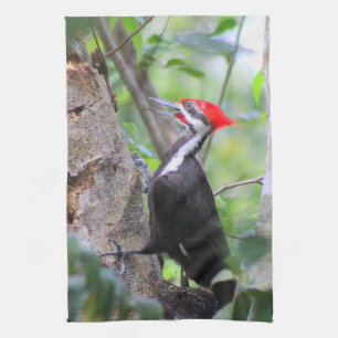 Linge De Cuisine Pileated Woodpecker Kitchen Towel Dish Towel