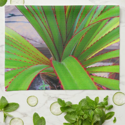 Linge De Cuisine Pin à vis (Plié)