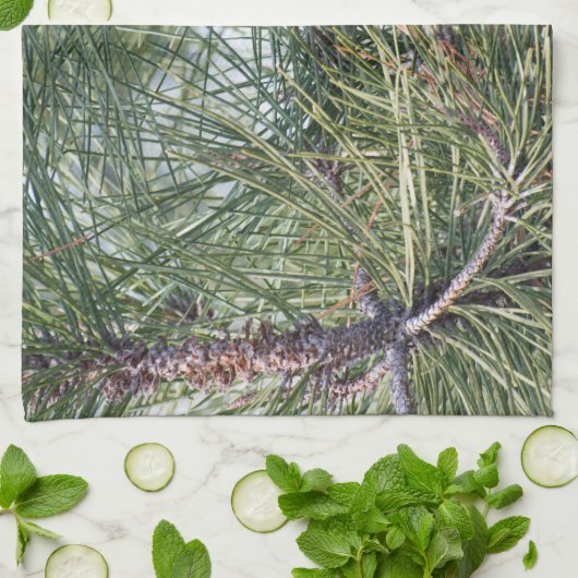 Linge De Cuisine Pinecone sur le pin (Plié)