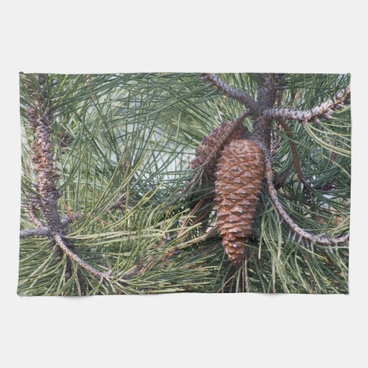 Linge De Cuisine Pinecone sur le pin (Horizontal)